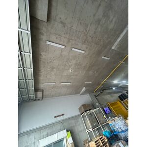 IMG_6426